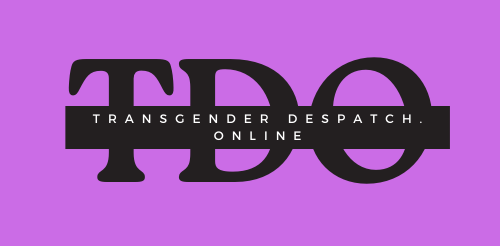 Transgender Despatch Online in black against a purple background